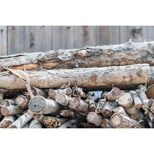 Good Quality Kiln Dried Firewood/Oak Firewood - Product Image 5