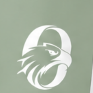 Manufacturer Sage Green Football Shorts Athletic Uniform Shorts Team Training Wear Custom <b>Sports</b> <b>Apparel</b> Performance Clothing - Product Image 6