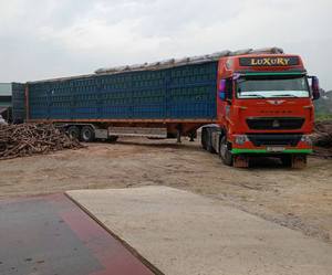 Carbón Vegetal de Madera Dura de Alta Densidad Premium con Valor Calorífico de 7000-8000 Kcal/kg y Contenido de Ceniza del 3.0-5.0% para Uso Profesional en Barbacoas - Product Image 6