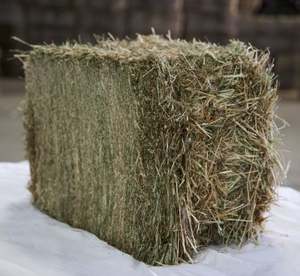 Foin de timothée pour chevaux et animaux |   Séché au soleil |   Durée de conservation stable |   Boîtes de vente au détail ou balles compressées |   De l'Afrique du Sud - Product Image 2