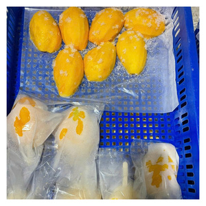 Proveedor de Trozos de Mango Congelados IQF de Vietnam, Alta Calidad, Sabor Natural, Textura Firme, Larga Vida Útil, Suministro a Granel para Jugos - Product Image 6