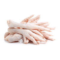 Vente en gros de pattes et de pieds de poulet congelés, qualité supérieure, grade commercial, approvisionnement en vrac, prêt à expédier pour les hôtels et les restaurants
