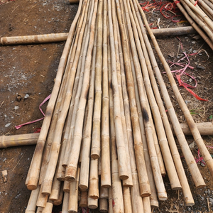Canne en bambou Eco2go du Vietnam en gros - Matière première de haute qualité pour la construction et l'agriculture, longueur 0,5-2m, diamètre 5-20mm - Product Image 1