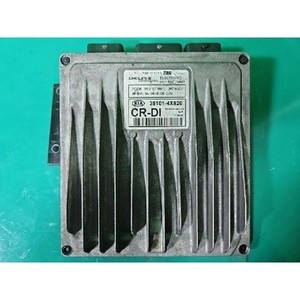 ECUs y Módulos de Computación Usados de Carnival 391014X820 - Product Image 1