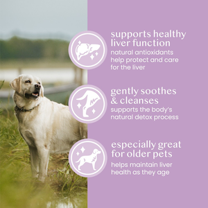 Custom Liver Support Powders <b>Pet</b> <b>Supplement</b> Naturally Aids in Healthy Dog Cat <b>Health</b> <b>Care</b> and <b>Supplements</b> with Milk Thistle - Product Image 4