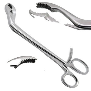 Pinzas para Sujetar Huesos Verbrugge de 10.75'' con Mordazas de 10.5mm, Instrumentos Quirúrgicos Veterinarios de Acero Inoxidable, Juego de Instrumentos Manuales - Product Image 1