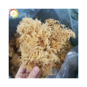 สาหร่ายคอตตอนนีแห้ง สาหร่ายอูเชมาดิบ สำหรับอุตสาหกรรมอาหารคาราจีแนน ผู้จัดจำหน่ายรายใหญ่จากเวียดนาม - Product Image 1