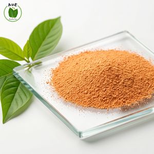 Extracto Herbal de Hoja de 7-OH MIT en Polvo, el Más Popular, 80% Natural, Extraído al Vacío con Solvente - Product Image 6