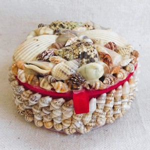 Ocean shell encrusted box candy <b>trinket</b> container beautiful natural seashell storage <b>boxes</b> - Product Image 1