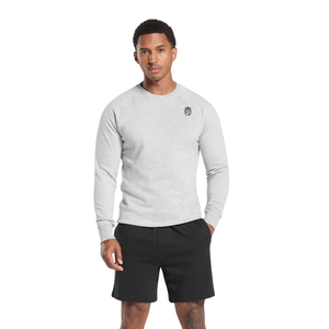 Sweat-shirt homme coupe ajustée gris clair en molleton premium, col rond, style athlétique décontracté pour le quotidien et le streetwear - Product Image 3
