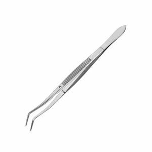 Pinzas Dentales Curvas Premium de Acero Inoxidable, Pinzas Aplicadoras de Algodón de Precisión, Instrumentos Quirúrgicos Restauradores - Product Image 6