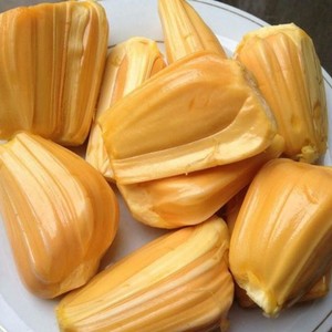 ขนุนแช่แข็ง IQF ขายส่ง ผลไม้เมืองร้อนหวานธรรมชาติจากเวียดนาม - Product Image 1