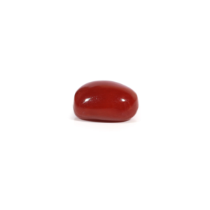 Natural Red Coral Oval Cabochon 2.84 Carat Loose Gemstone Certified Wholesale - Product Image 3