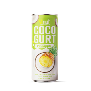 280ml Ananas Cocogurt Fournisseur en gros Marque privée Fabricant OEM ODM Échantillon gratuit Halal Casher ISO - Product Image 4