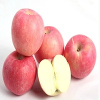 Pommes rouges Fuji 100% naturelles, biologiques, de qualité alimentaire, fraîches, exportées en vrac