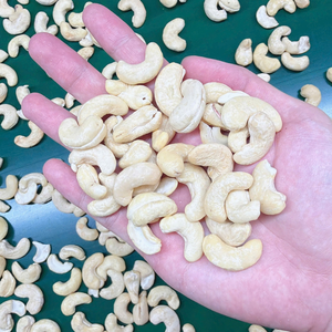 Nueces de Anacardo al por Mayor SANTIGO, Núcleos de Anacardo con Certificación ISO y HACCP - Product Image 1