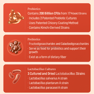 Supplément de zinc probiotique avec 5 milliards de CFU poudre de soutien de la santé digestive immunitaire OEM Corée aliments santé - Product Image 4