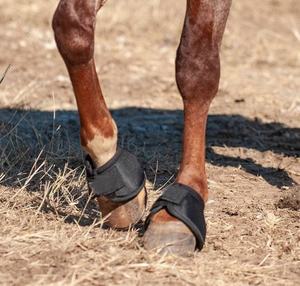 ORSE Ding iding ququestrian iigh uality holesale uustom ll olors ORSE ell OOTS ITH ustom OGO - Product Image 5