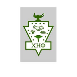 Écussons brodés du logo de l'université Chi Eta Phi Sorority Inc - Product Image 1