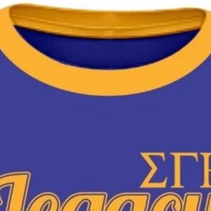 Camiseta de la Hermandad Sigma Gamma Rho, Personalizada con Letras Griegas, de Algodón, Estilo Bordado Premium, Prenda Informal de Manga Corta - Product Image 2