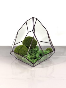 Contemporary Terrarium <b>Mini</b> Indoor Garden Perfect For Hotel Lobby And Hospitality Interior Decoration Handcrafted From India - Product Image 5