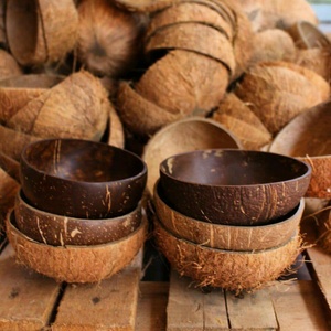 BEST SELLER Eco Friendly Premium Coconut Shell Bowl High Quality Sustainable Lightweight Durable Kitchenware <b>Set</b> - Product Image 5