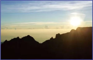 Peinture en aérosol à base d'eau mate industrielle d'origine Modèle P6-6 Noir véritable Revêtement décoratif intérieur pour utilisation avec les appareils photo - Product Image 4