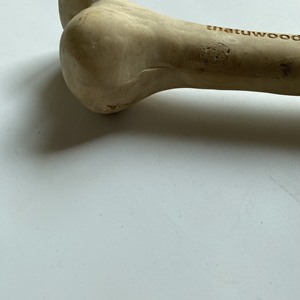 Jouets à mâcher pour chiens en bois de bonne qualité, bâtonnets de dentition durables en bois massif pour chiens, en forme d'os, fabriqués au Vietnam - Product Image 5