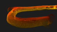Escáner LiDAR 3D SLAM Portátil de Alta Precisión GEOSUN GS-130G, Punto de Anclaje para Cuevas y Túneles Subterráneos, Entorno sin GNSS