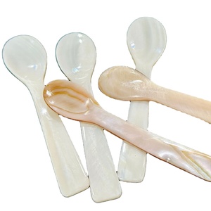 Luxury Mother of Pearl Spoon Set for Caviar Serving Dining Restaurants Eco-Friendly Shell Cutlery for Appetizer Presentation - Product Image 4