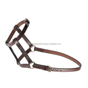 Top Trending hecho a mano marrón Premium cuero acolchado caballo Halter con doble costura resistente cuero genuino Halter caballo - Product Image 3