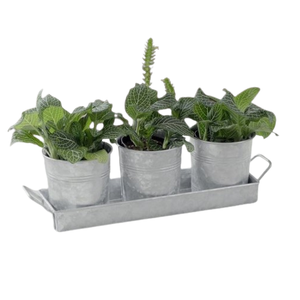 Pots de fleurs en métal les plus vendus, pots en zinc avec plateau, décoration de jardin de style farmhouse, pots de fleurs en zinc galvanisé - Product Image 1