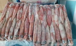 Tiras de Calamar Gigante Congeladas de Primera Calidad - Productos de Mariscos B2B Más Vendidos - Product Image 5