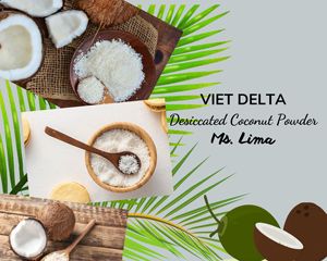 Coco Deshidratado Vietnamita con Alto Contenido de Grasa para Niños y Adultos - 100% Puro y Natural a Precio Competitivo - Product Image 1