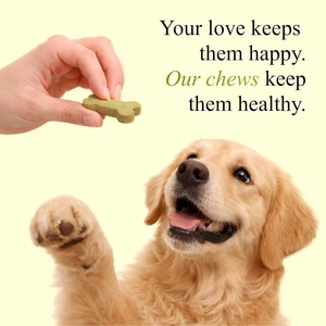Friandises à Mâcher Apaisantes pour Chiens – Soulagement de l'Anxiété et du Stress – Toutes Races – Sans Céréales – 2,5 g/unité – Absorption Rapide – Soutien Immunitaire - Product Image 3