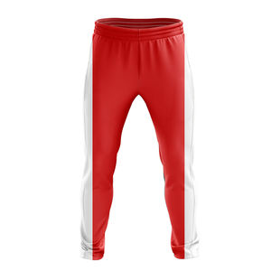 Uniforme de Cricket de Primera Calidad, Equipación de Cricket Personalizada con Número Impreso, Pantalones Cortos 100% Poliéster de Secado Rápido, Venta al Por Mayor - Product Image 3