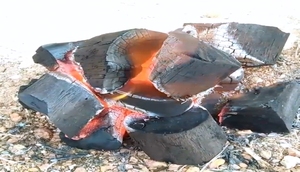 Wanted Quality Indonesian Charcoal Halaban Lump Hardwood for BBQ | Long <b>Burning</b> Low Ash 7000-8000 Kcal/kg CARSURIN Lab-Test - Product Image 1