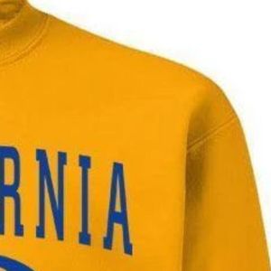 เสื้อสเวตเชิ้ต Sigma Gamma Rho สีทองสำหรับผู้หญิง ลายกรีก ออกแบบด้วยตัวอักษรและกราฟิกของชมรม พร้อมปักชื่อชมรมแบบกำหนดเอง - Product Image 3