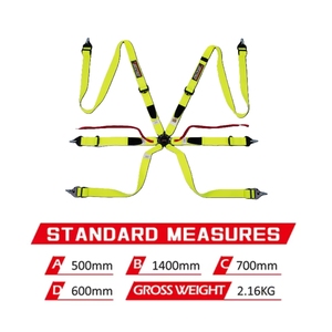 Cinturón de Seguridad de Carreras de Marca Personalizada OEM TBRACING FIA 8853 2016, Servicio de Distribución, Almohadilla Antideslizante, Estructura de Costura de una Sola Pieza - Product Image 6