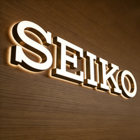 Letras de Canal de Plástico Personalizadas con LED para Letreros de Negocios, Letras de Canal 3D para Publicidad Exterior, Letrero Acrílico con LED