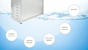 Générateur d'ozone industriel 5g/h pour la stérilisation de l'air et l'élimination des odeurs Vietnam - Product Image 4