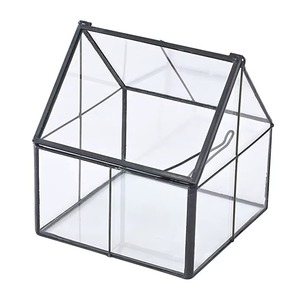 Terrario de Vidrio Inspirado en una Gran Casa con Base Metálica Resistente, Pieza Decorativa Moderna para el Hogar, Ideal para Exhibición de Plantas de Interior y Regalos - Product Image 2