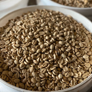 [Haute Qualité] Nouvelle Récolte 25-26 Vietnam Grade 1 Arabica Robusta Grains de Café Bruts Torréfiés Emballage 60kg Grains de Café Verts - Product Image 1