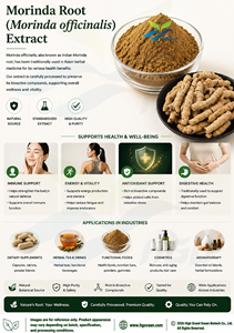 Approvisionnement direct d'usine HGO en extrait de racine de Morinda (officinalis) naturel pur (qualité alimentaire) spécification 10:1 (extrait de rapport) - Product Image 4