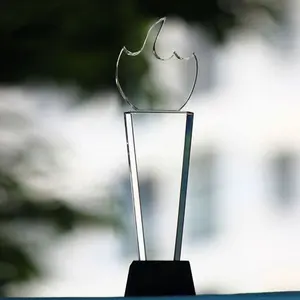 Trofeo di premio acrilico personalizzato di forma personalizzata