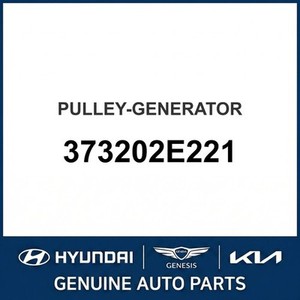 Soul New Autres pièces et accessoires pour voitures et camions 373202E221 - Product Image 1