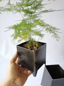 Pot de fleurs en fer forgé fait main pour plantes succulentes, couleur noir mat, décoration de bureau, jardin d'intérieur, hydroponie numérique électronique, écologique, application - Product Image 4