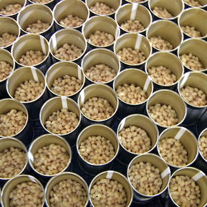 उच्च गुणवत्ता में किए गए इटली ला डोरिया चिकी मटर आसान-खुले डिब्बे में 24x400g धमाकेदार प्रसंस्करण निर्यात के लिए - Product Image 3