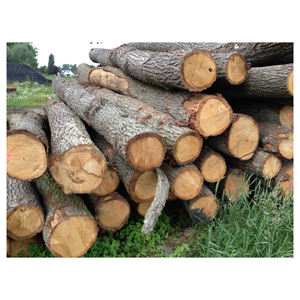 Troncos de madera de roble frescos, madera dura para corte en aserradero y fabricación de muebles, disponible en grandes cantidades. - Product Image 3