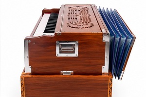 BINA 9 Harmonium de Madera con Cambiador de Escala, 37 Teclas, Triple Lengüeta, Instrumento Musical Tradicional Indio de Bomba Manual para Actuaciones en Escenario - Product Image 3